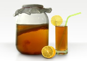 Лечение геморроя чайным грибом