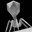 Ученые обнаружили новый тип вируса бактериофага